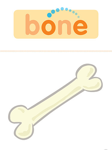 37 bone