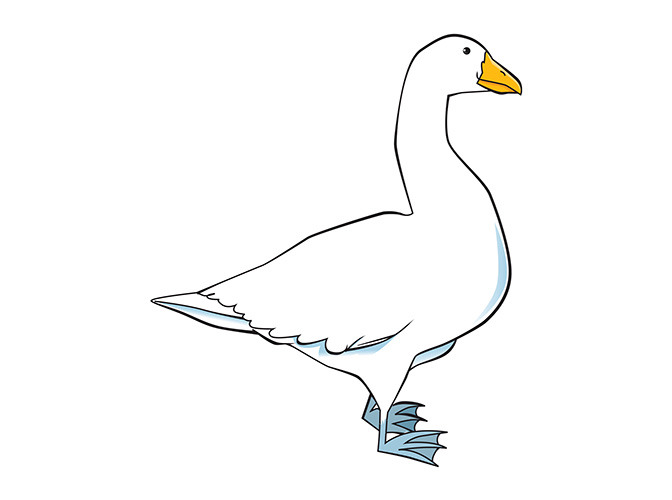 159 goose