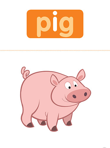 6 pig