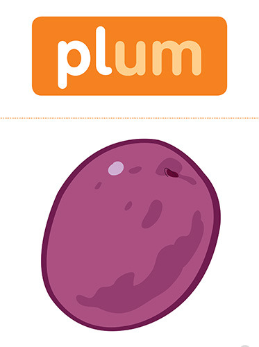 16 plum