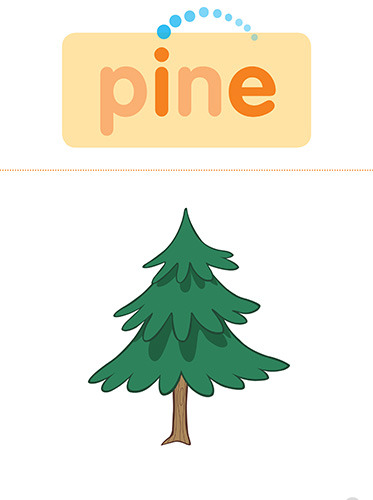52 pine