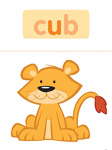 48 cub