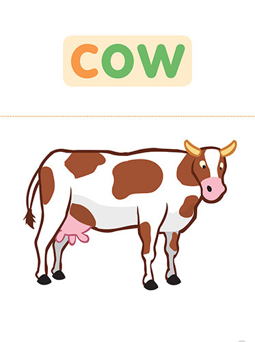 18 cow