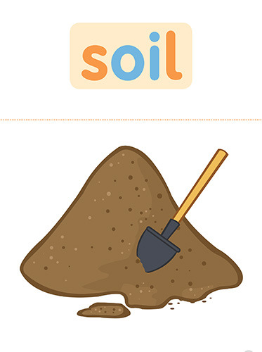 17 soil 