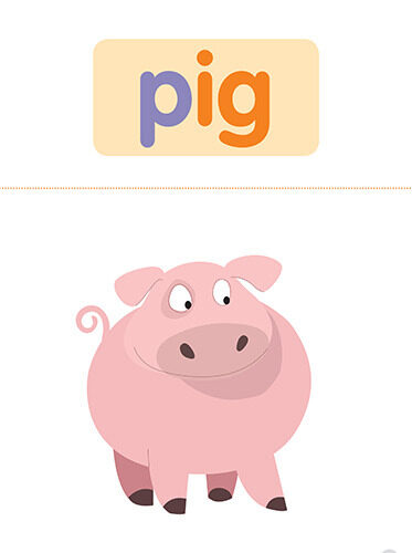 22 pig