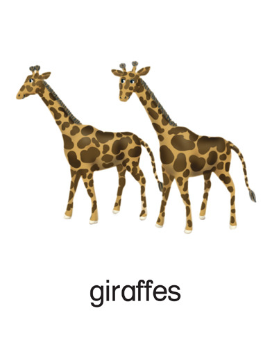 196 giraffes