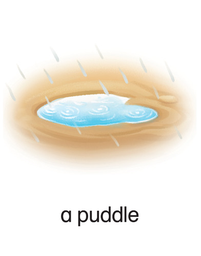 137 a puddle