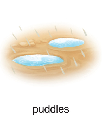 141 puddles