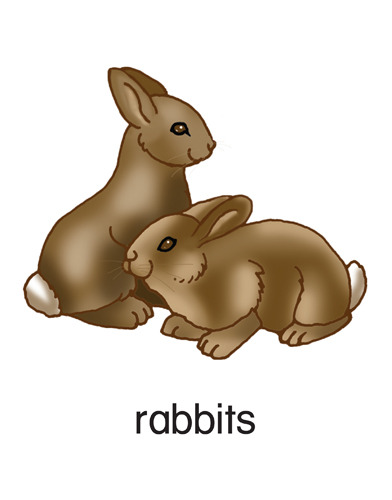 186 rabbits