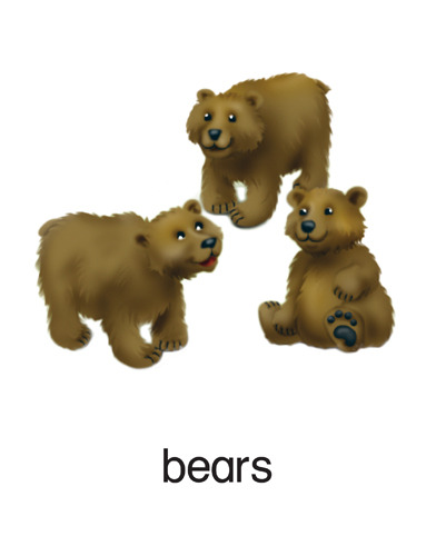 195 bears