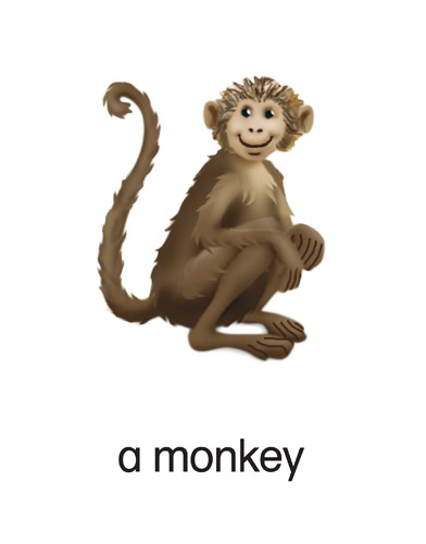 188 a monkey