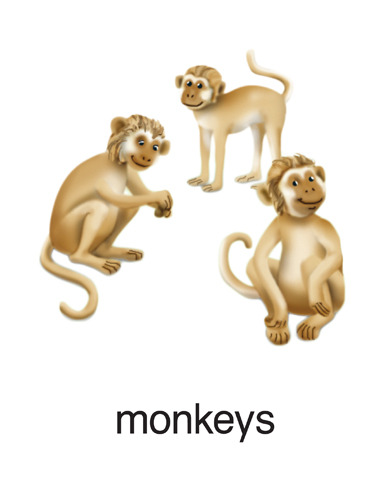 193 monkeys