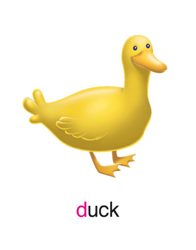 76 duck