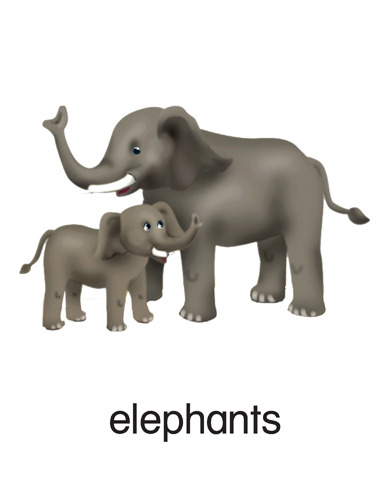 197 elephants