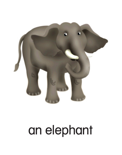 192 an elephant