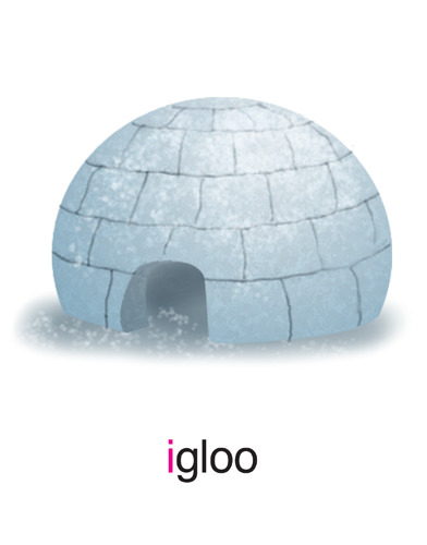 150 igloo