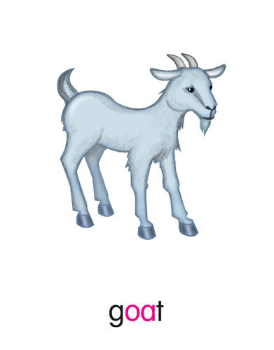 170 goat