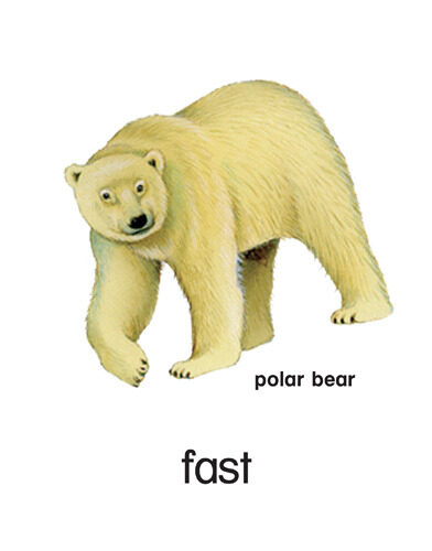 33 fast - polar bear