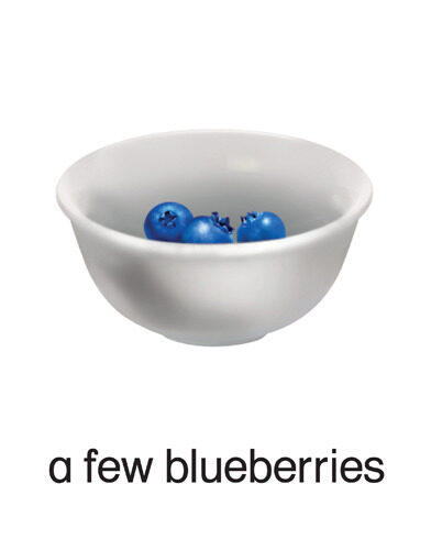 14 a few blueberries