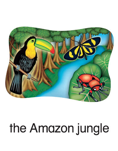 155 the Amazon jungle
