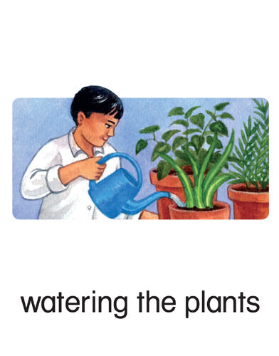 7 watering the plants