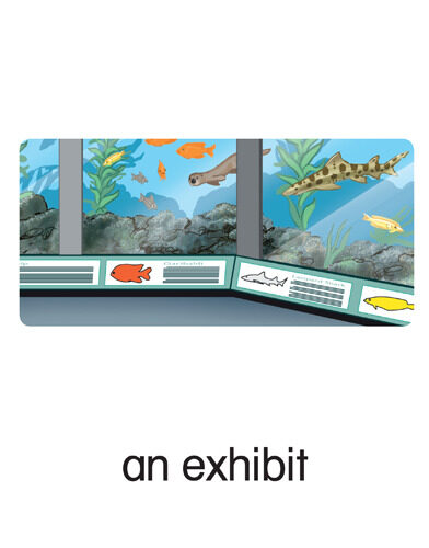 34 an exhibit