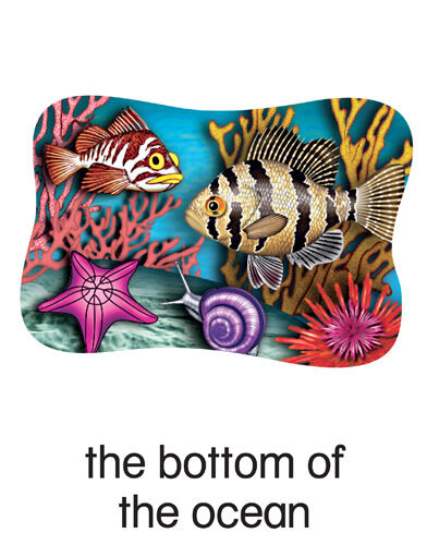 157 the bottom of the ocean