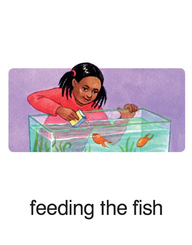 8 feeding the fish