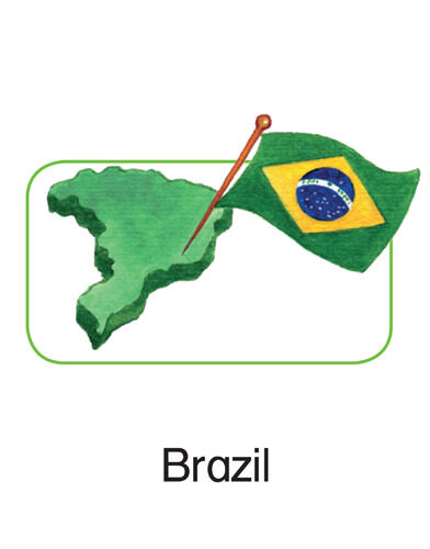 101 Brazil
