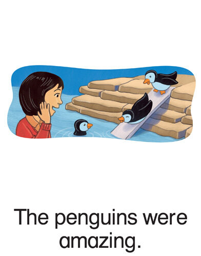 20 The penguins were amazing.