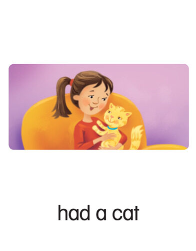 127 had a cat