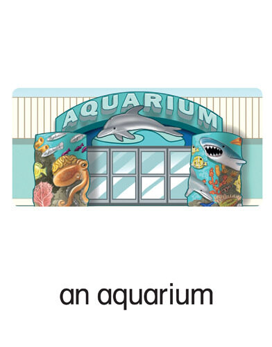 31 an aquarium
