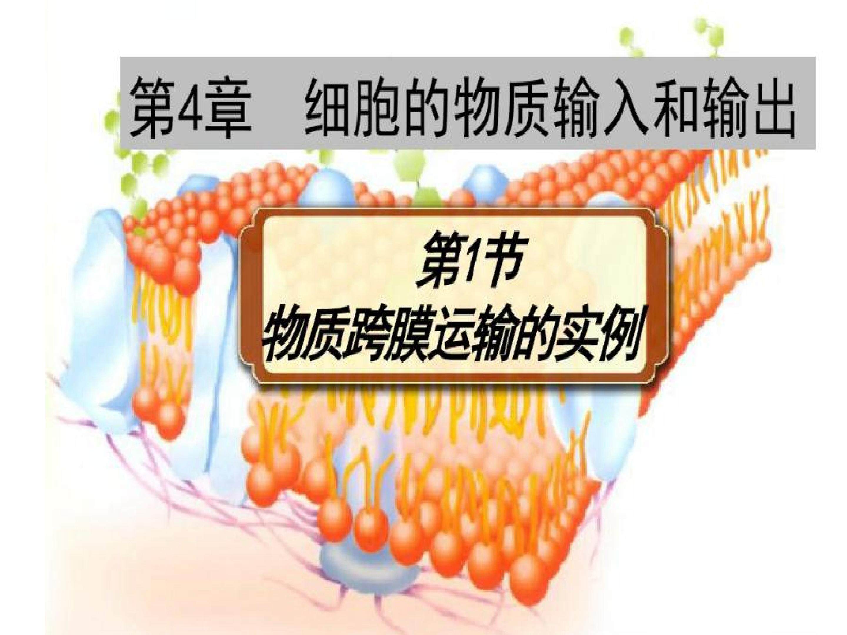 物质跨膜运输课件