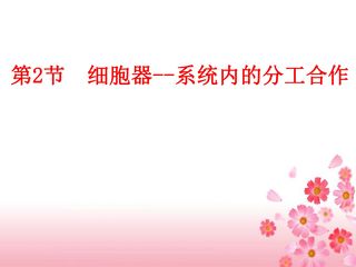 细胞器--系统内的分工合作