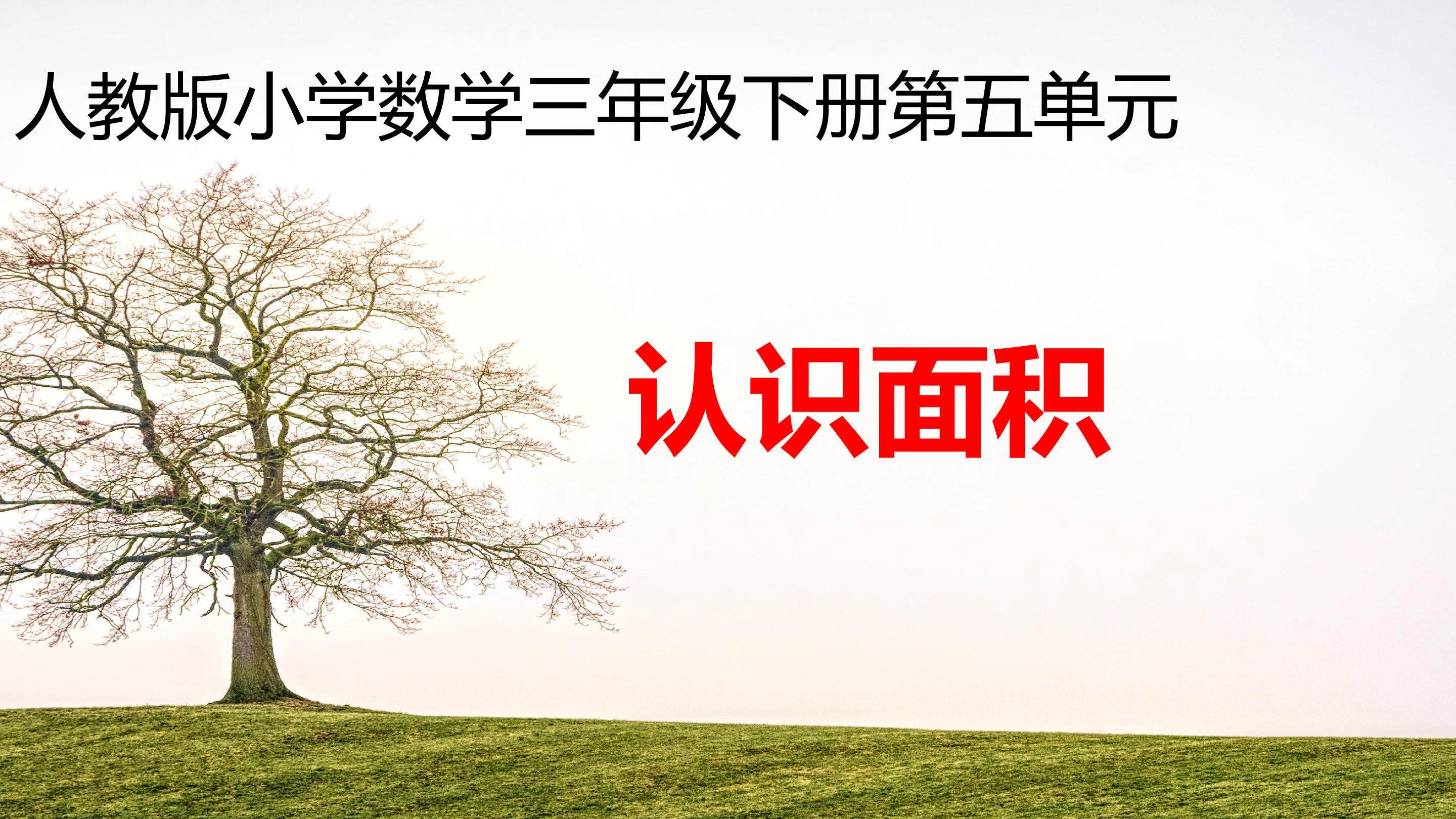 面积和面积单位