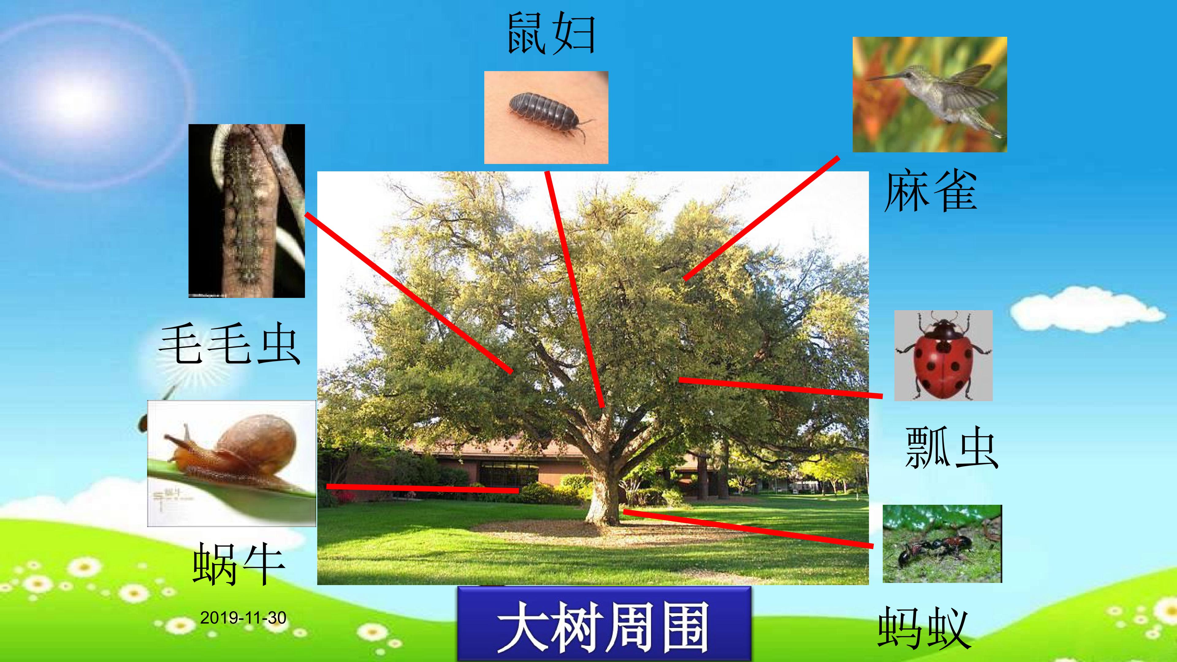 17.jpg