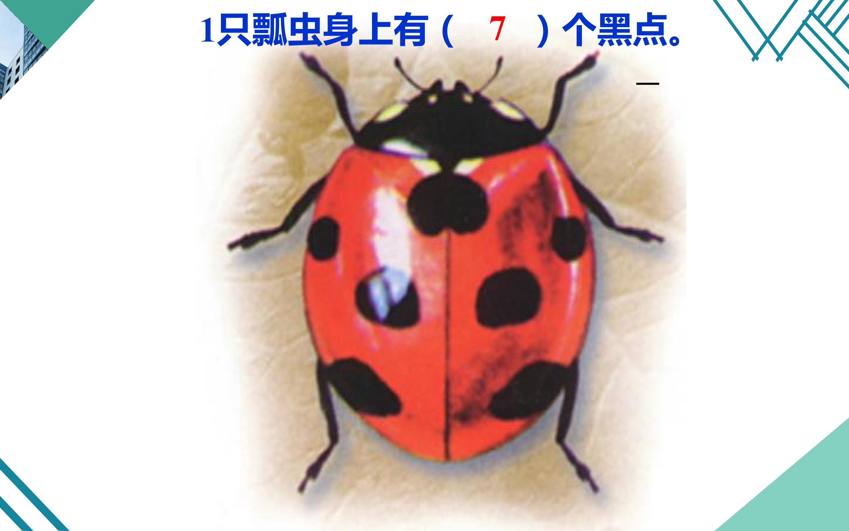 91.jpg