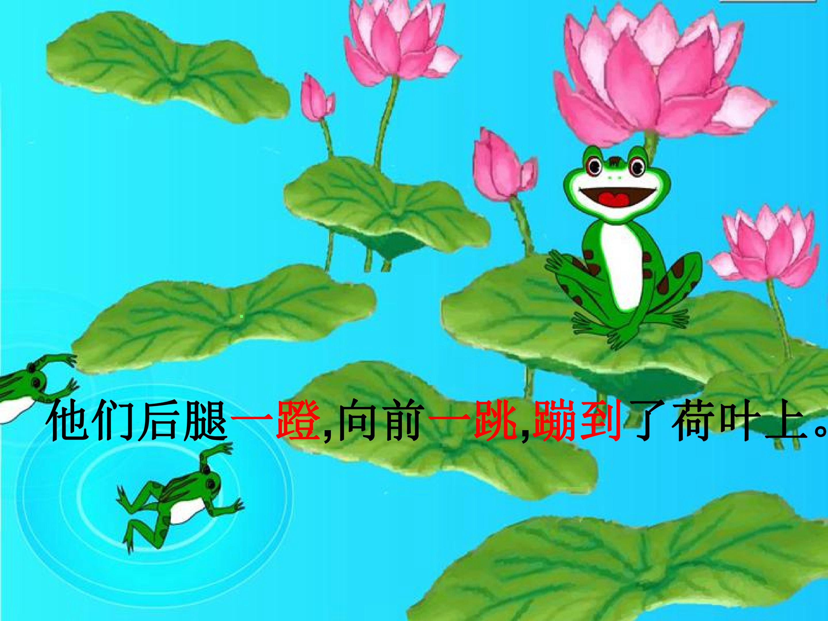 25.jpg