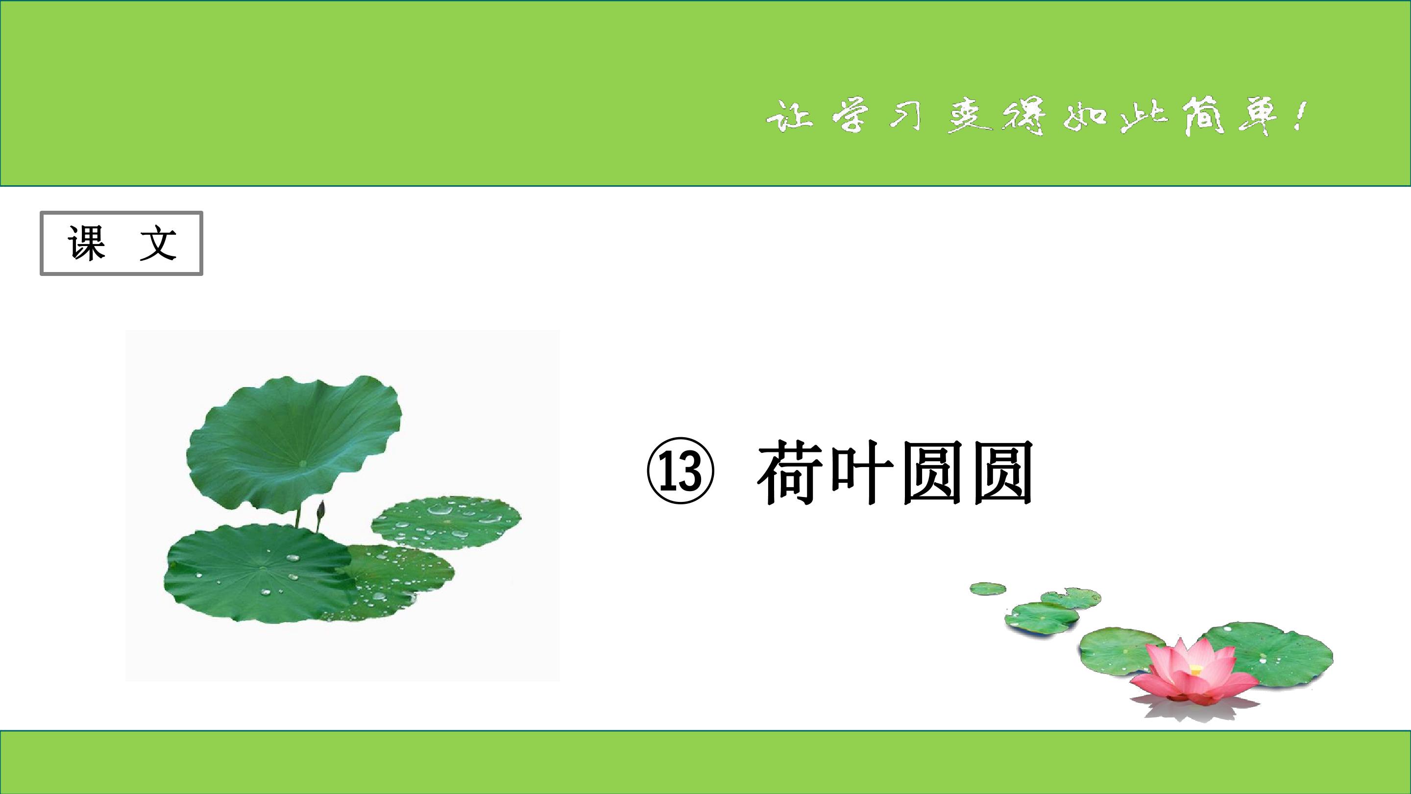 荷叶圆圆