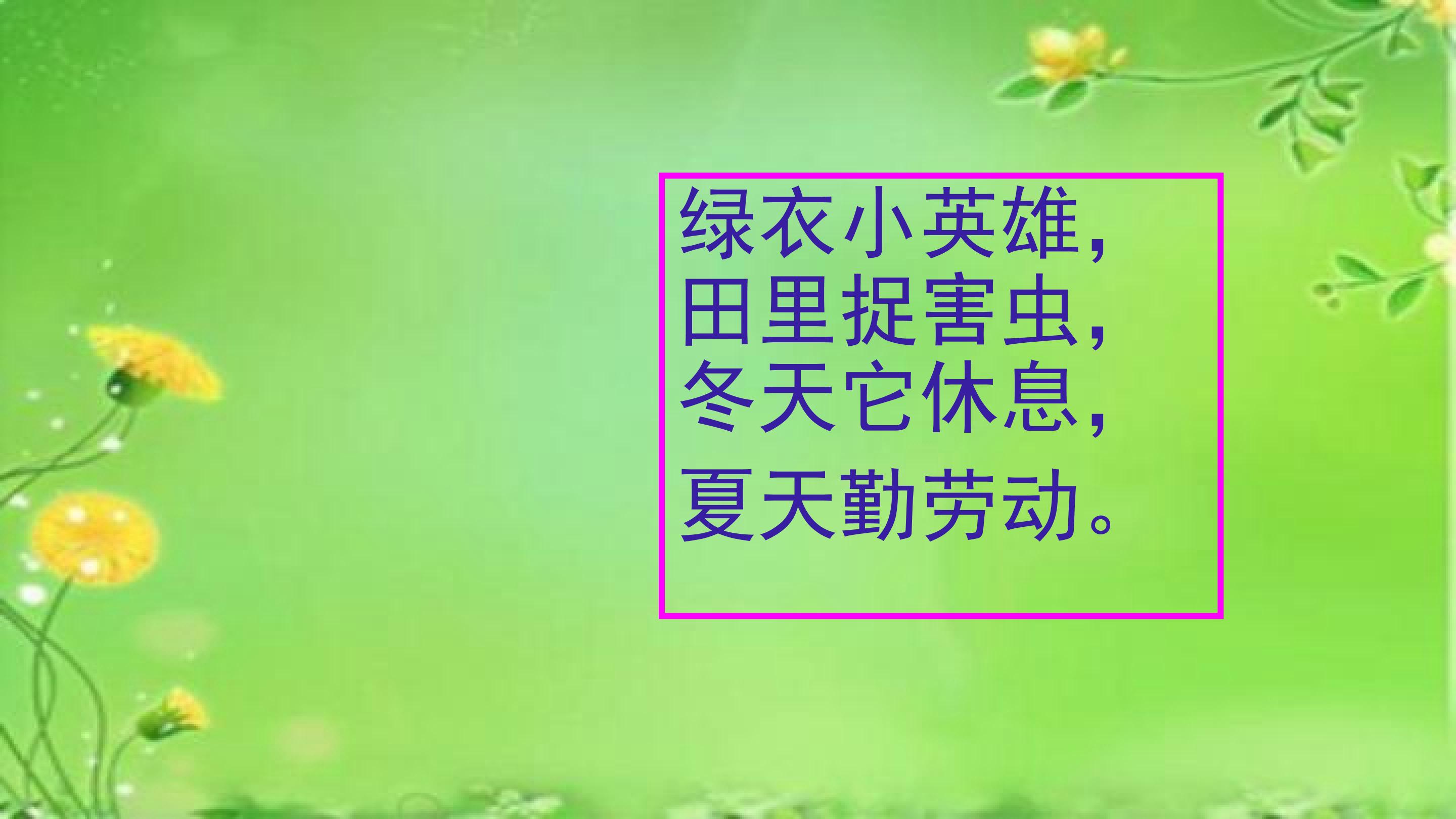 小青蛙