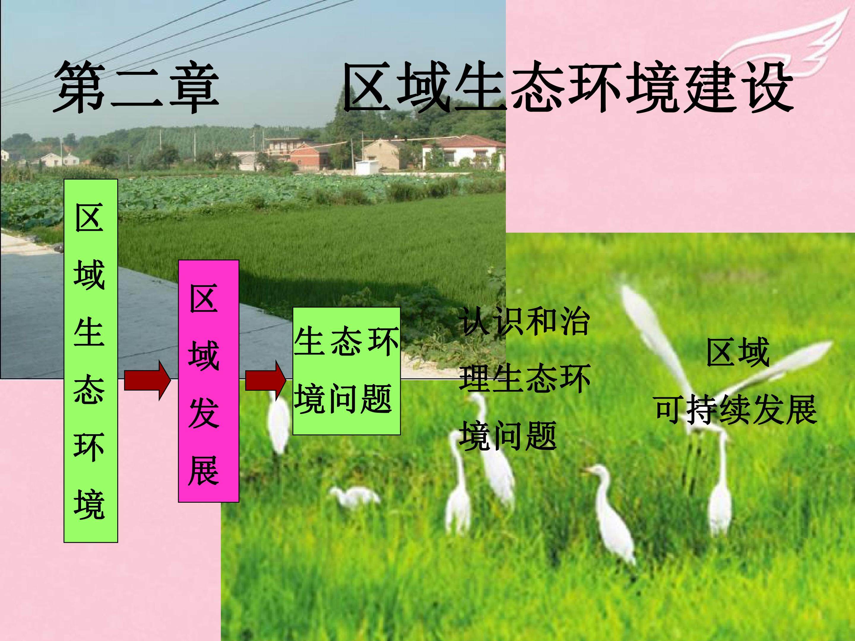 荒漠化的防治-以我国西北地区为例