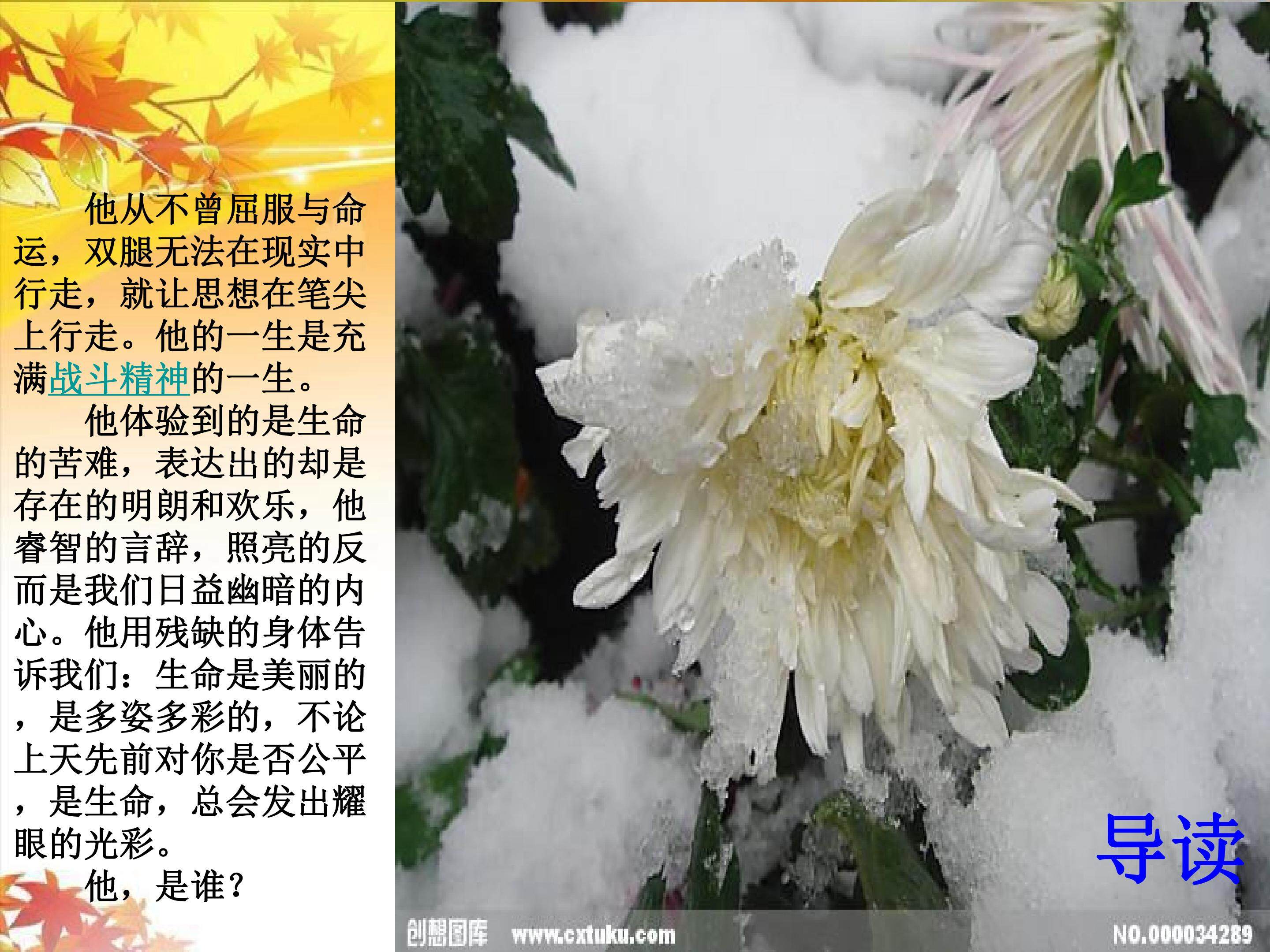 秋天的怀念