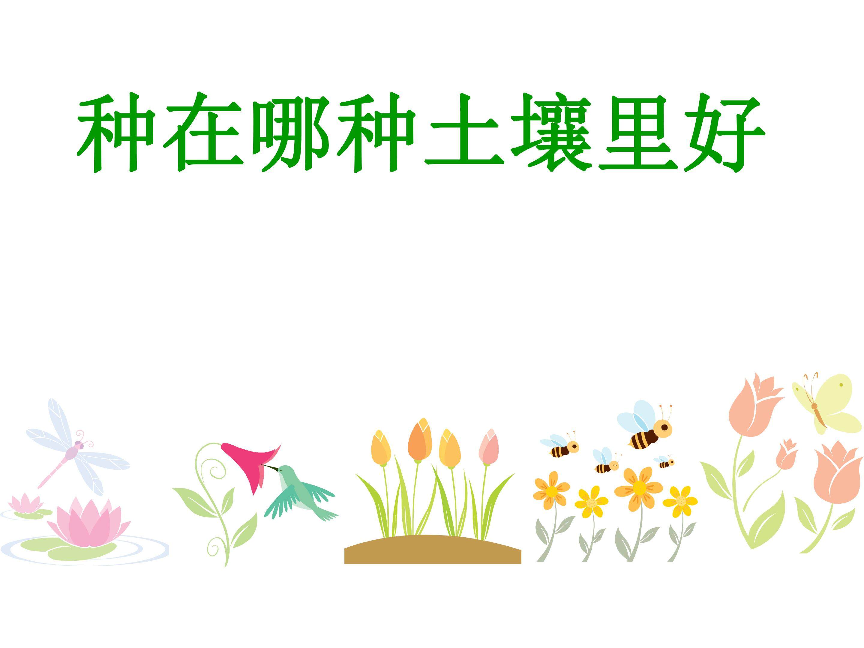 种在哪种土壤里好