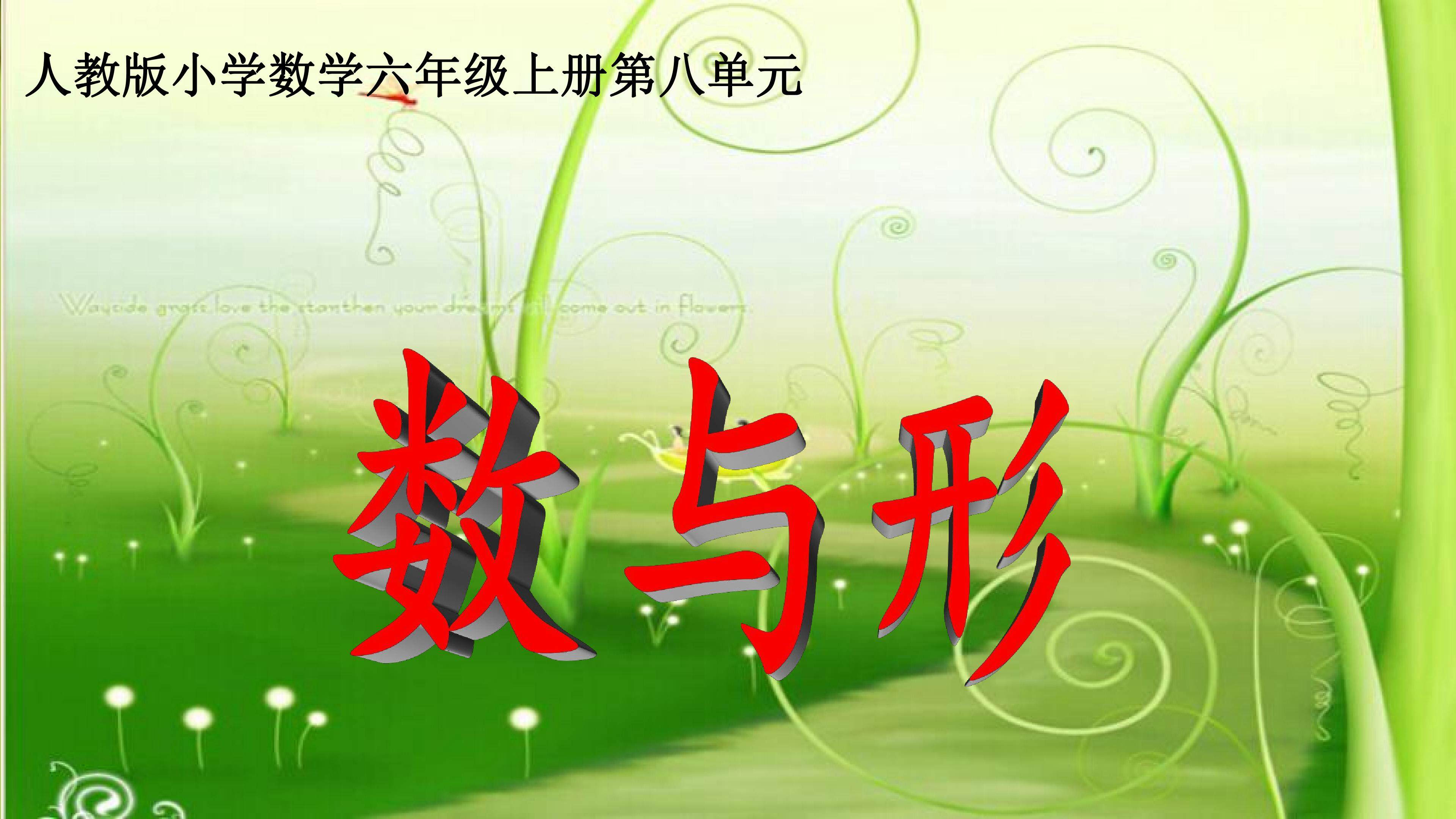 数与形