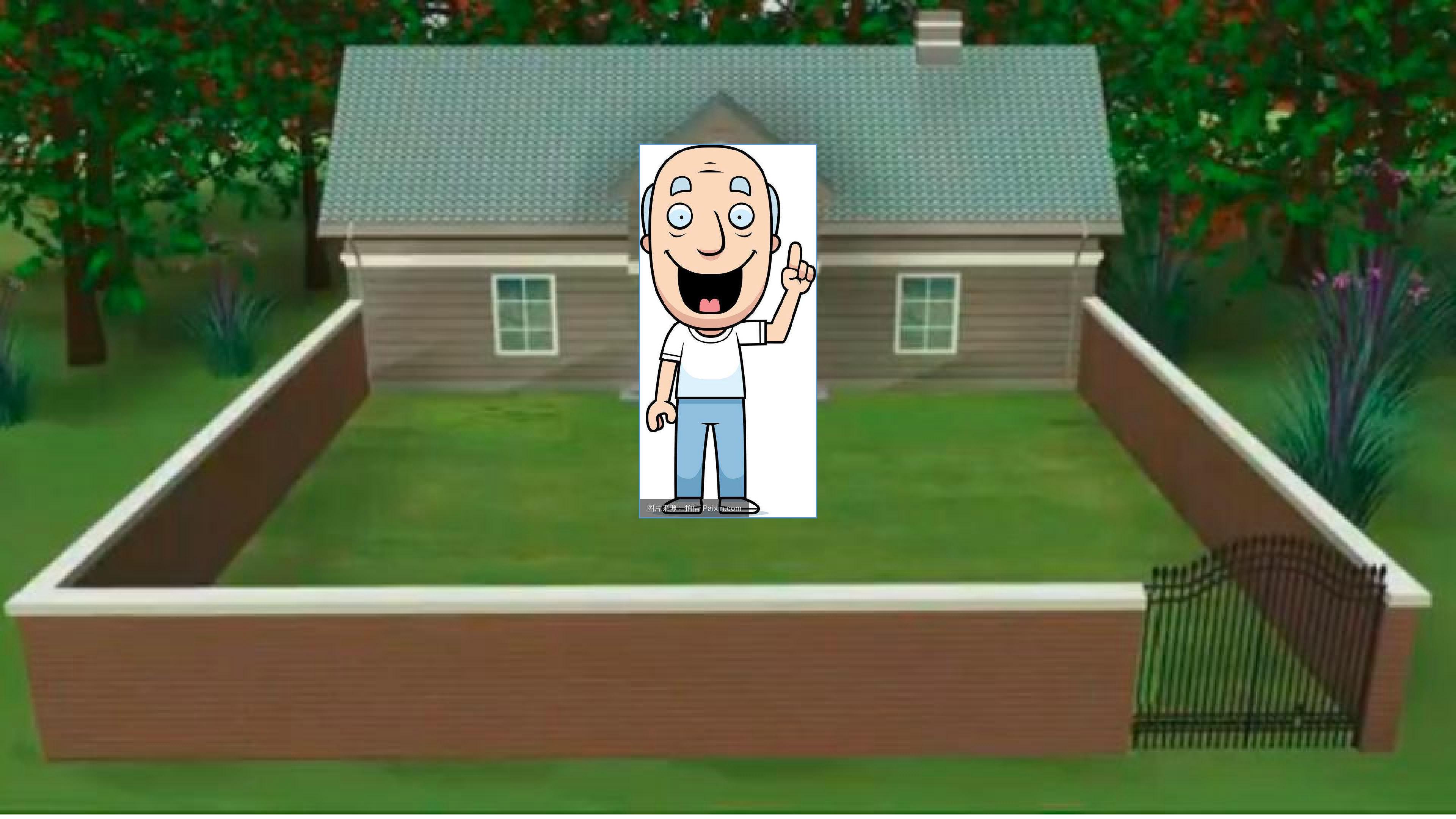 11.jpg