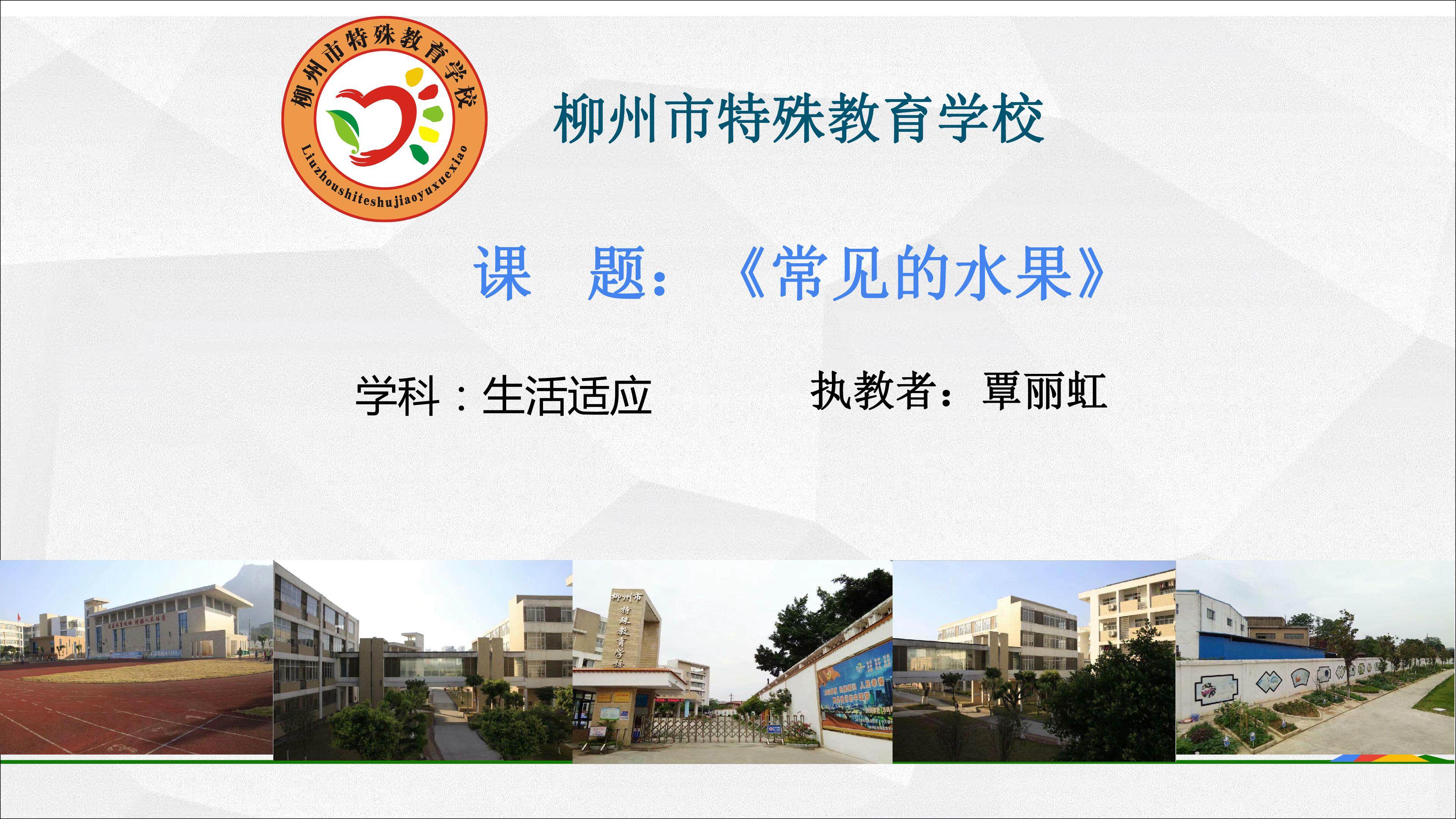 常见的蔬菜