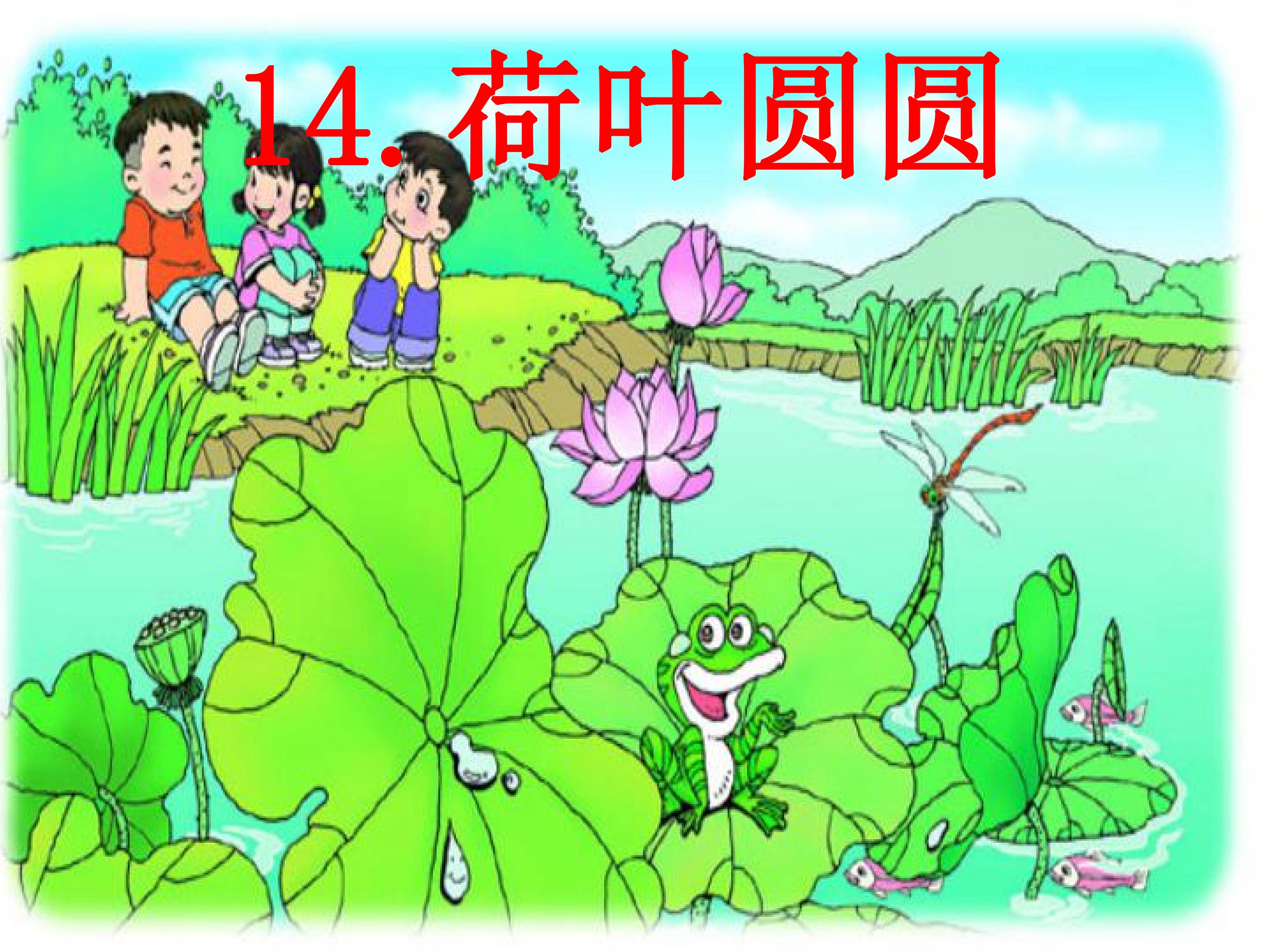 荷叶圆圆
