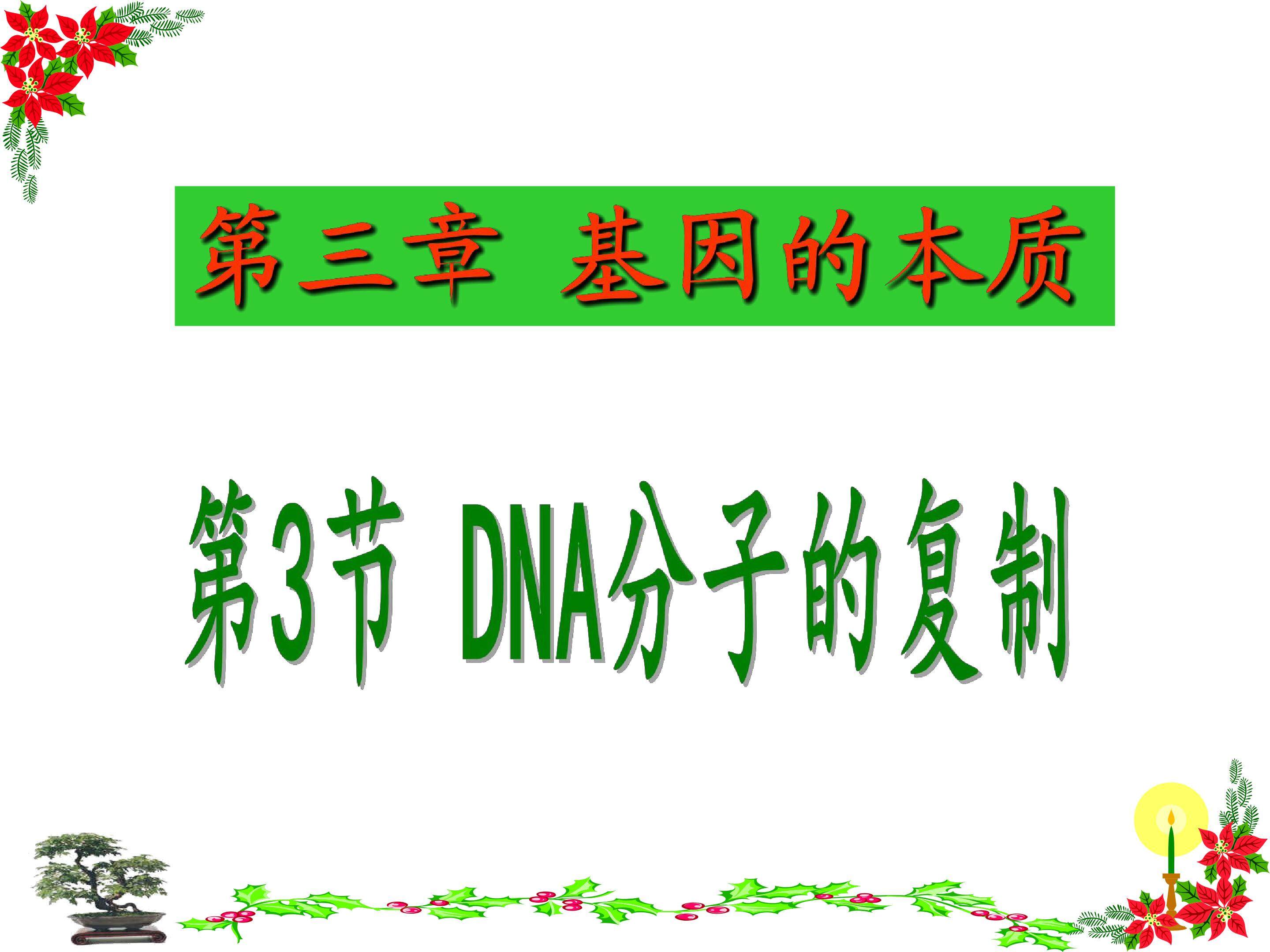 DNA分子的复制