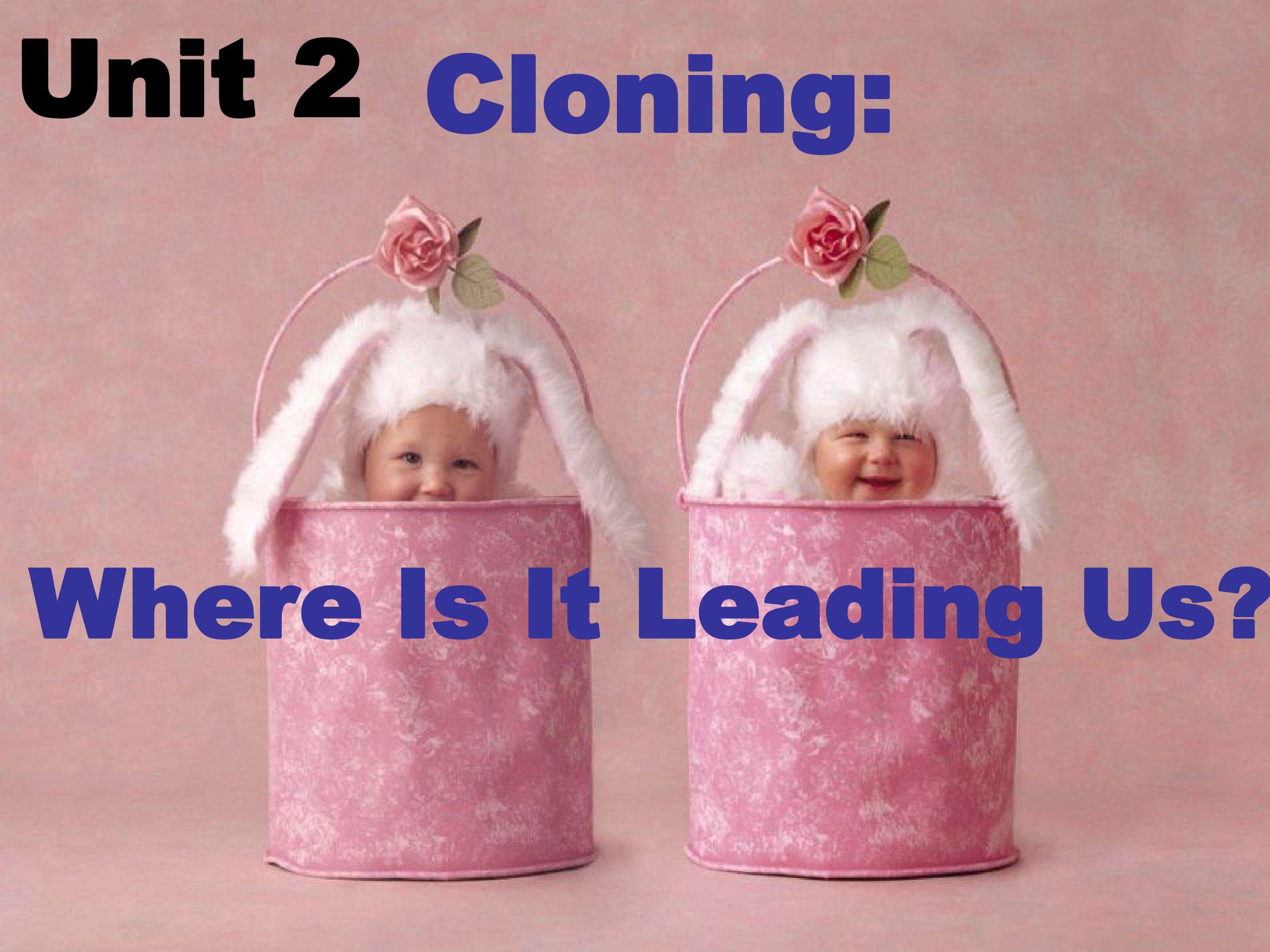 Cloning: Where Is It Leading us?