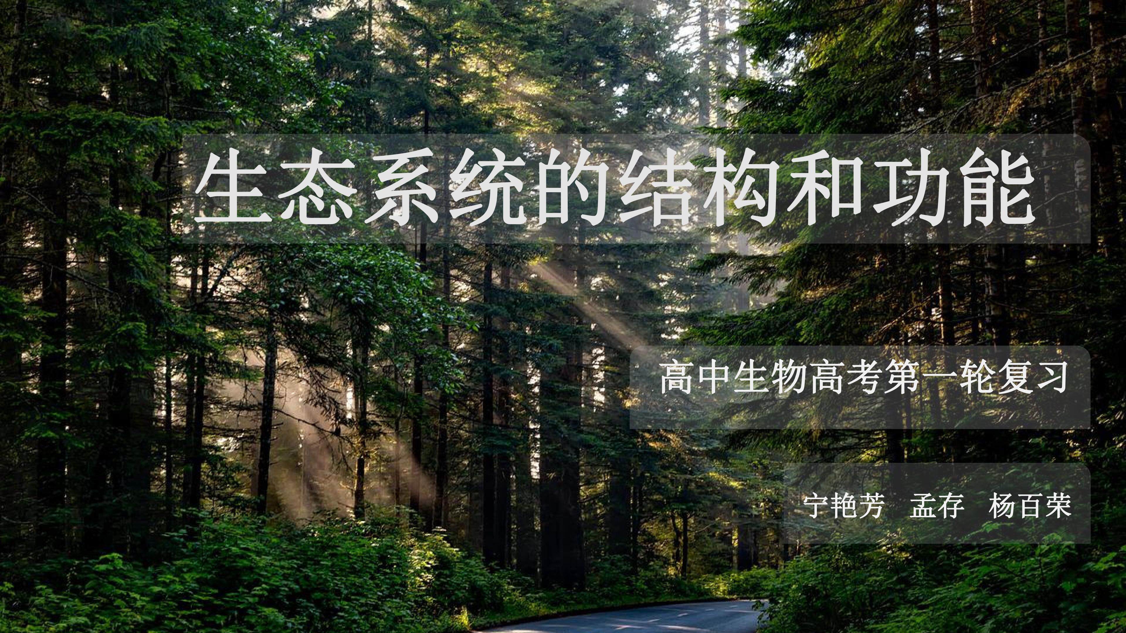 生态系统